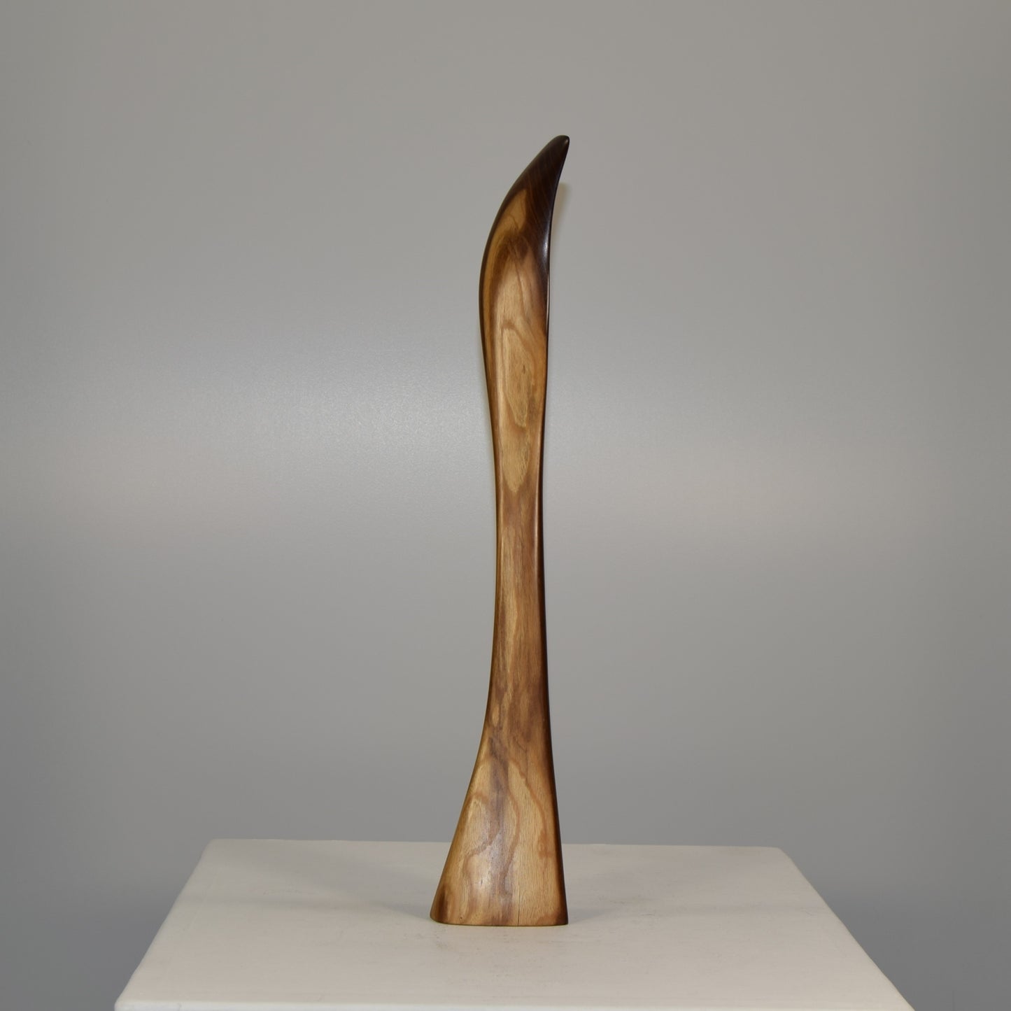 Edward H Harle Abstract Form in Laburnum Wood circa 1970s