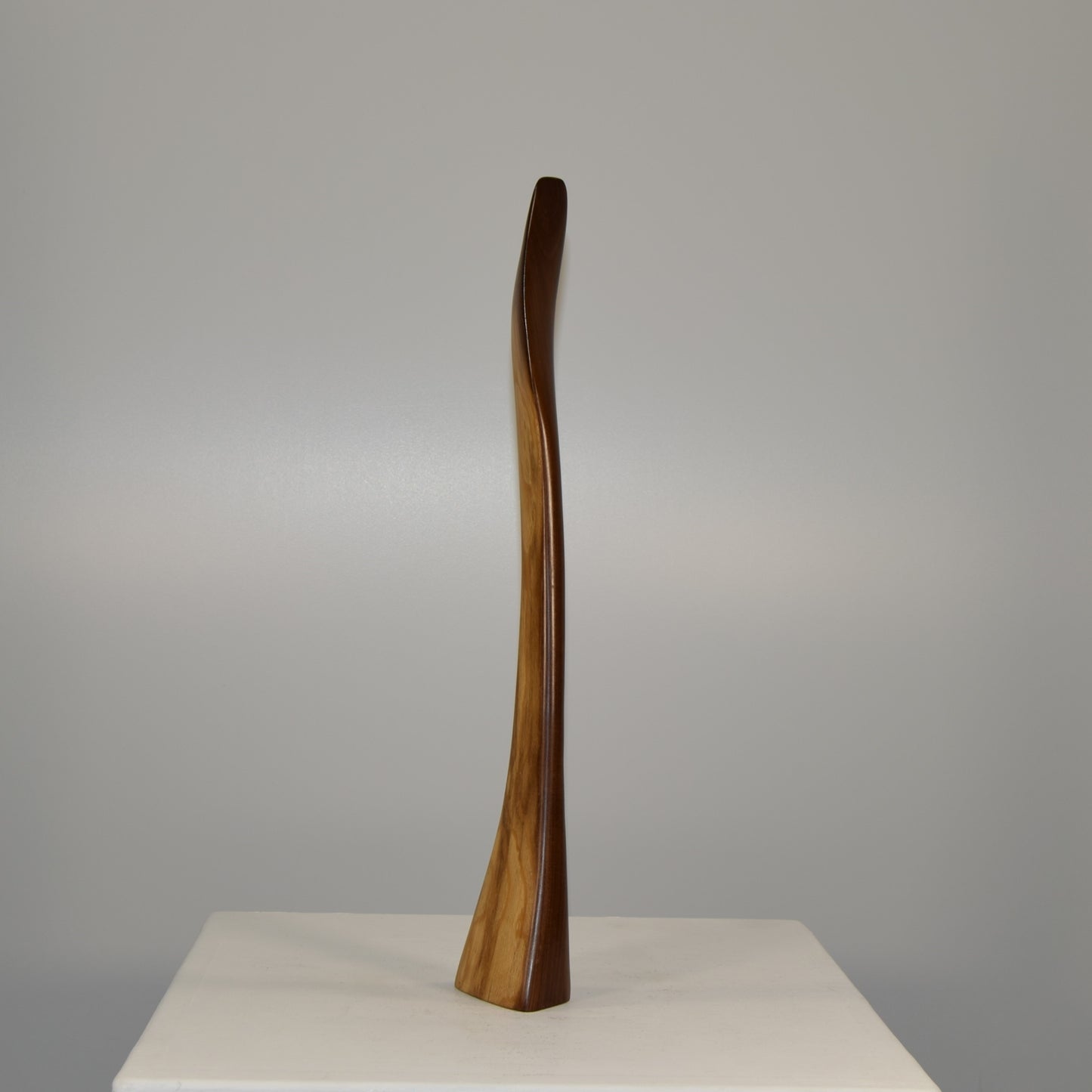 Edward H Harle Abstract Form in Laburnum Wood circa 1970s