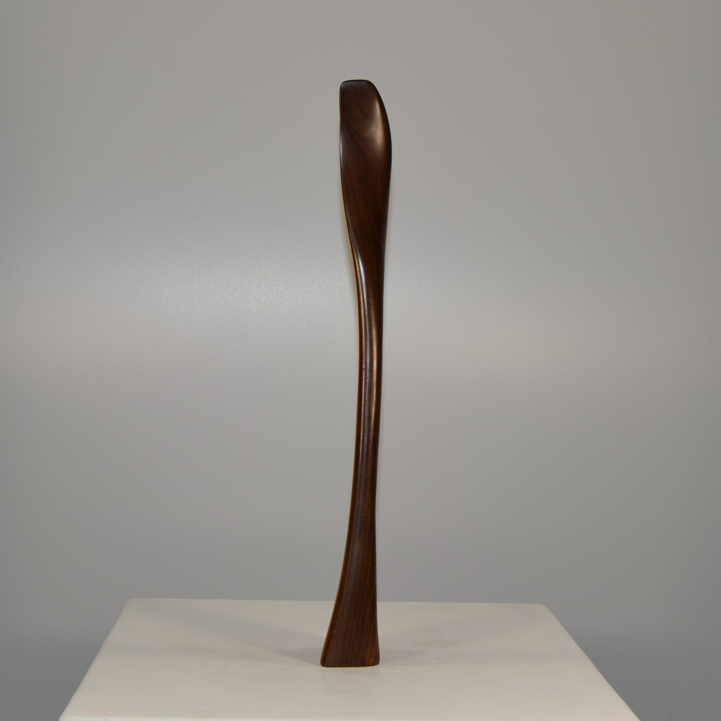 Edward H Harle Abstract Form in Laburnum Wood circa 1970s