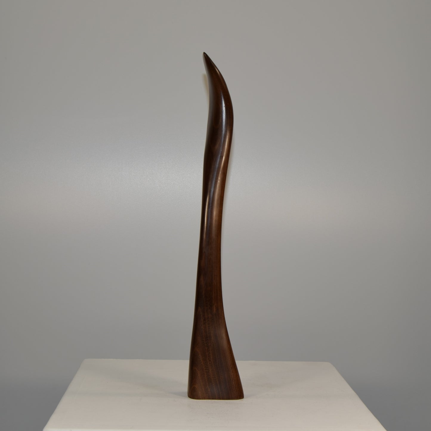 Edward H Harle Abstract Form in Laburnum Wood circa 1970s