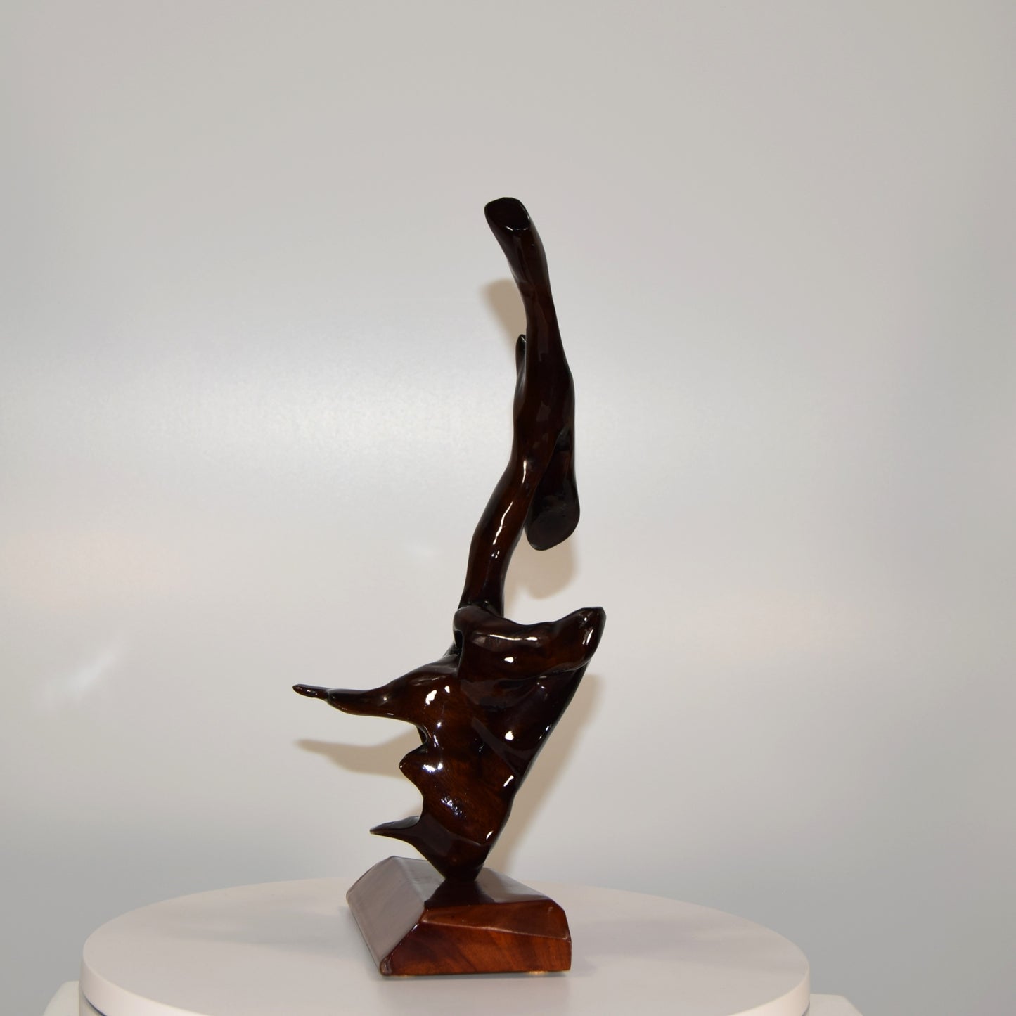 Reggie Medford Barbados Mahogany Abstract Form