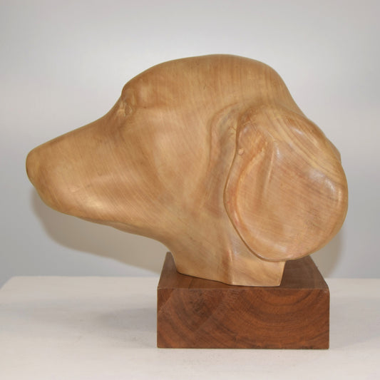 Life-Size Bust of Labrador in Lime Wood signed 'DC'