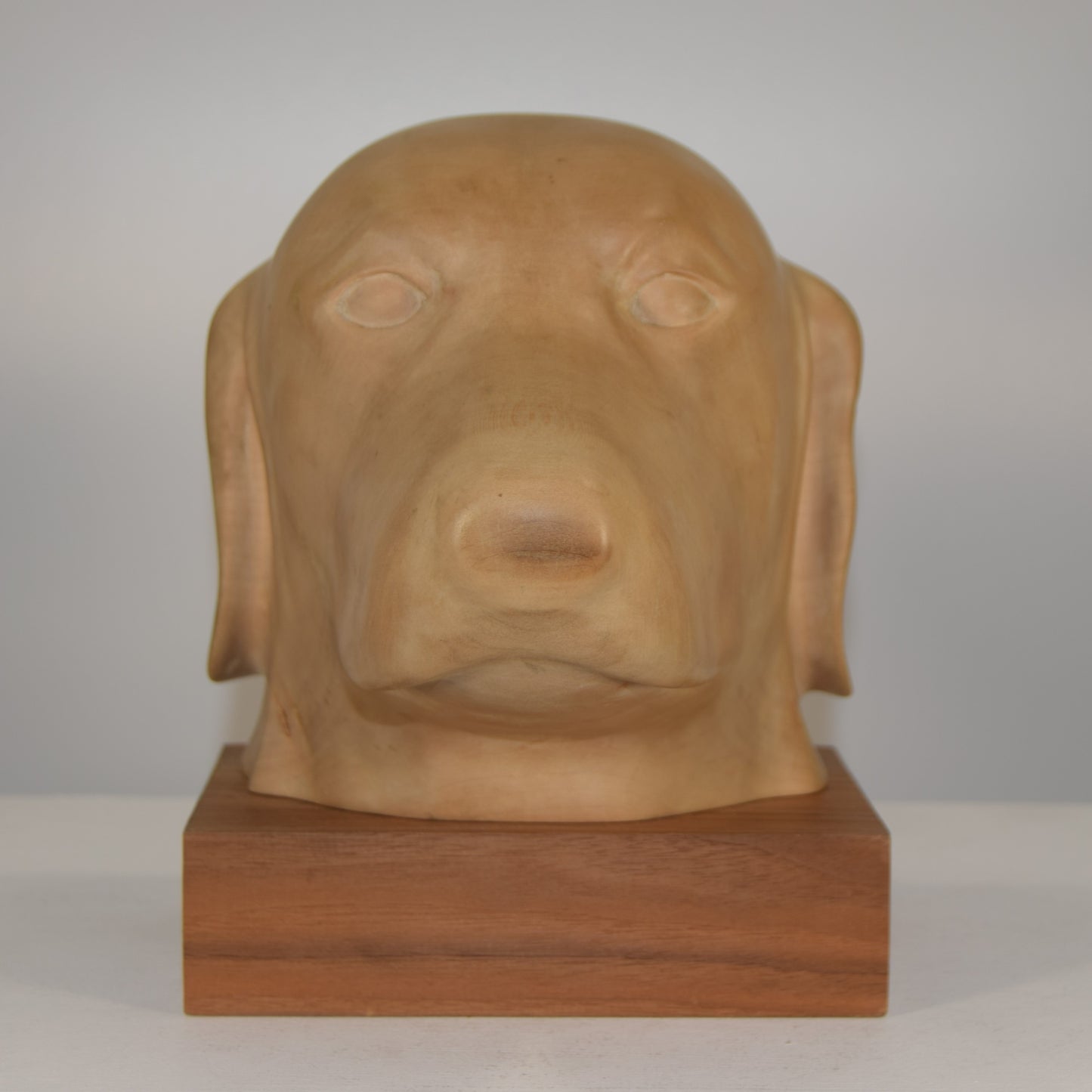 Life-Size Bust of Labrador in Lime Wood signed 'DC'