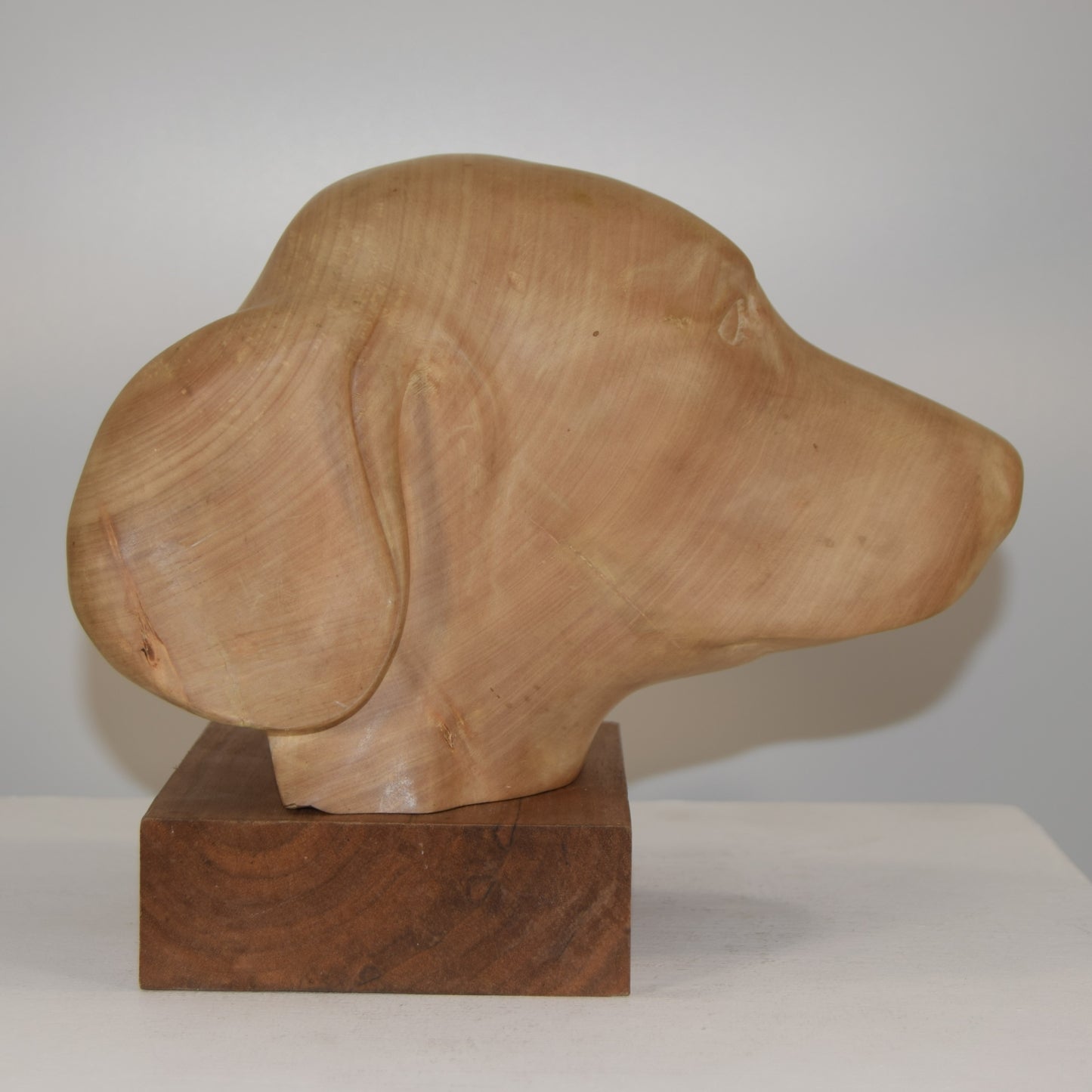 Life-Size Bust of Labrador in Lime Wood signed 'DC'