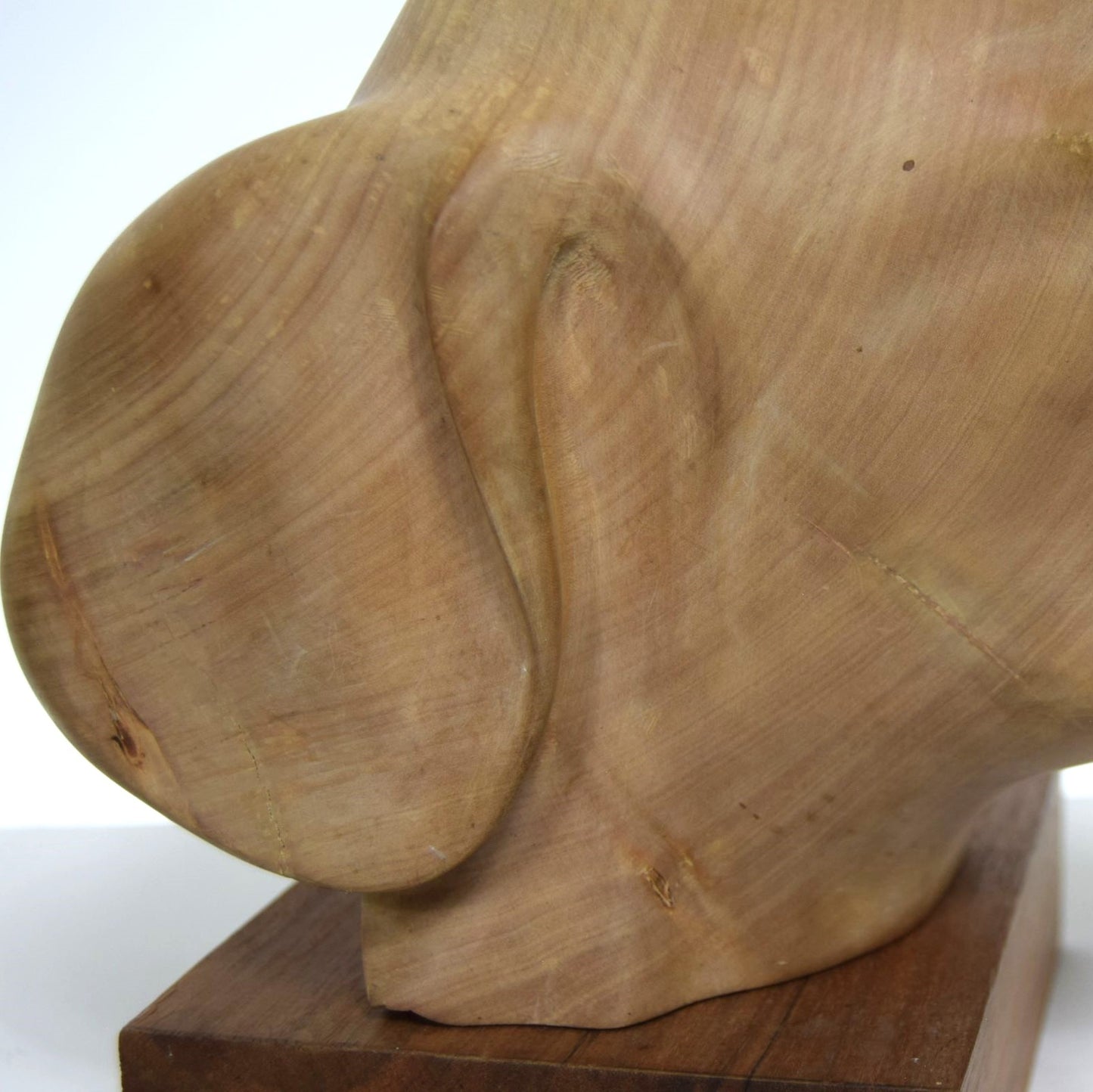 Life-Size Bust of Labrador in Lime Wood signed 'DC'