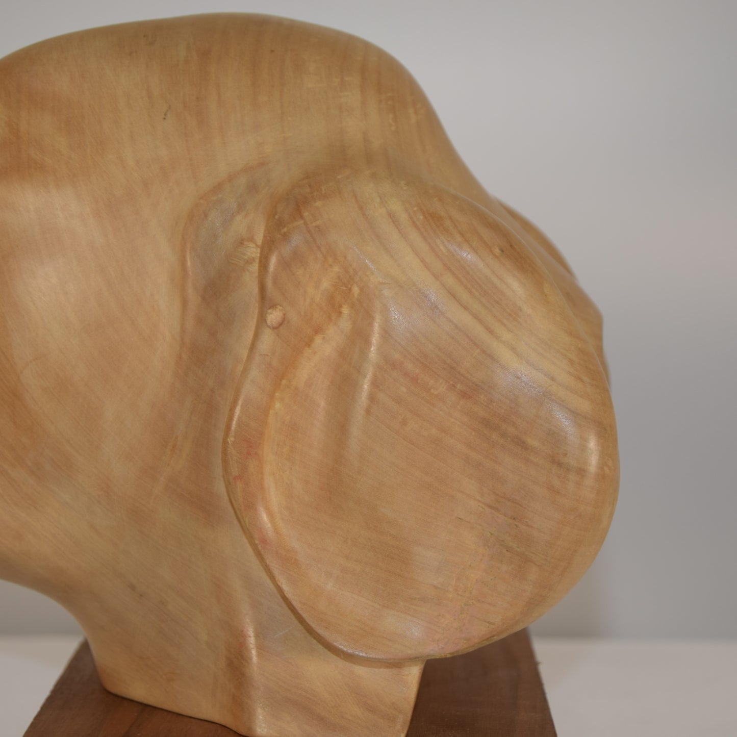 Life-Size Bust of Labrador in Lime Wood signed 'DC'