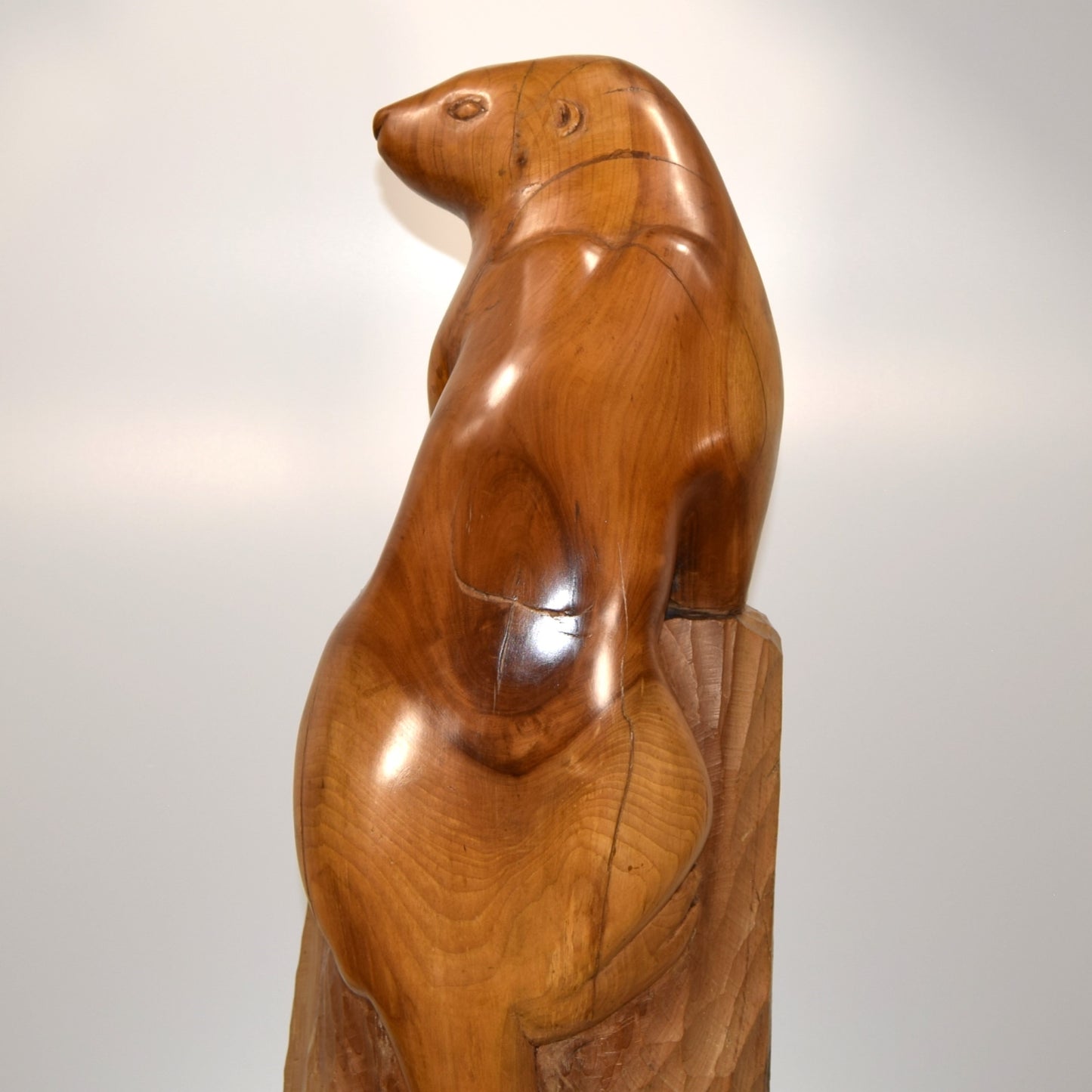 Large and Impressive Sea Otter in Yew signed 'PC' circa 1930 - 50s