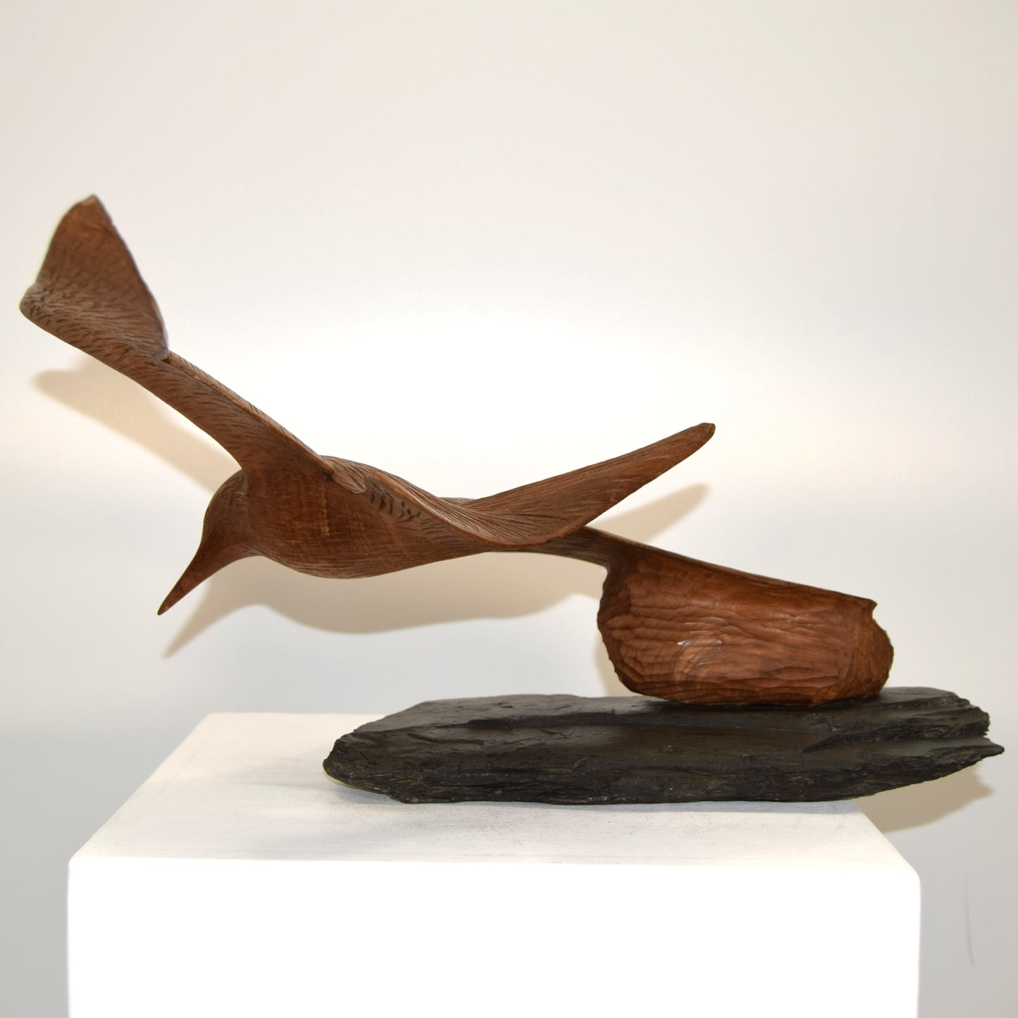 Peter Boex Tern in Flight Sculpted in Sycamore on Natural Slate Base dated 1975