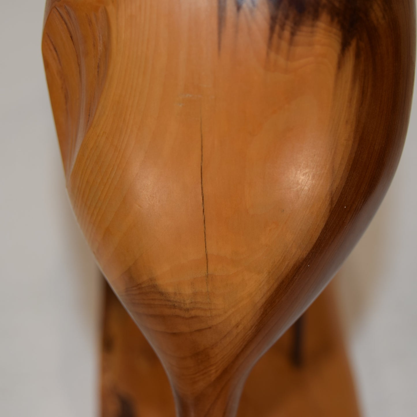 Bruno Charron Avocet in Yew Wood