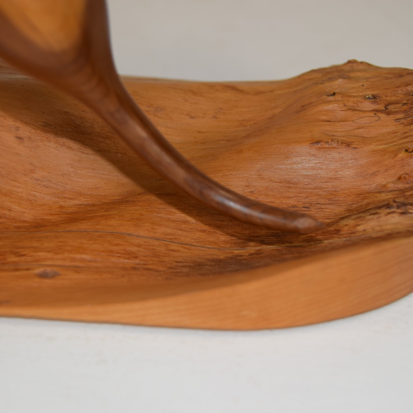 Bruno Charron Avocet in Yew Wood